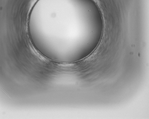 X0000060271296200511112037