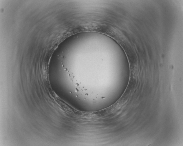 X0000060271298200511112036