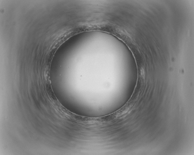 X0000060271300200511112036