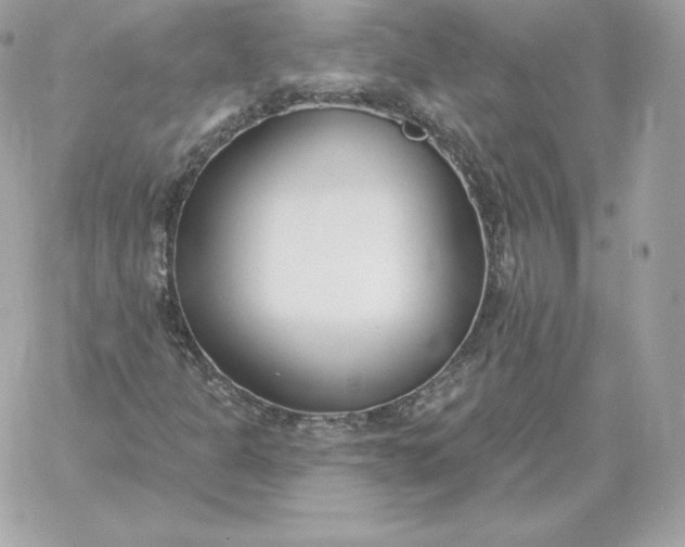 X0000060271301200511112036