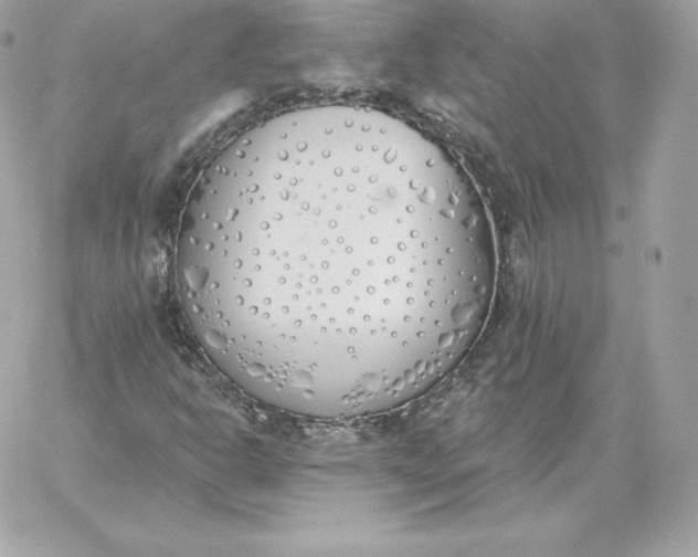 X0000060271302200511112036