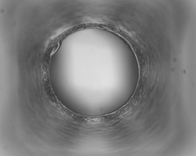 X0000060271303200511112036