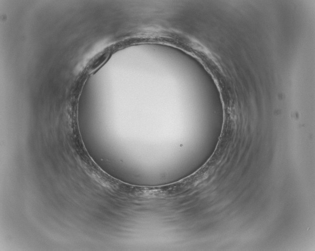 X0000060271304200511112036