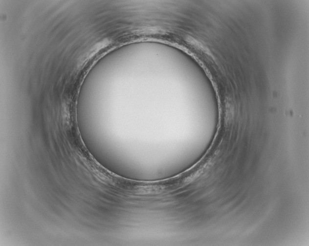 X0000060271305200511112036