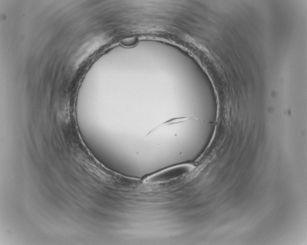 X0000060271306200511112036