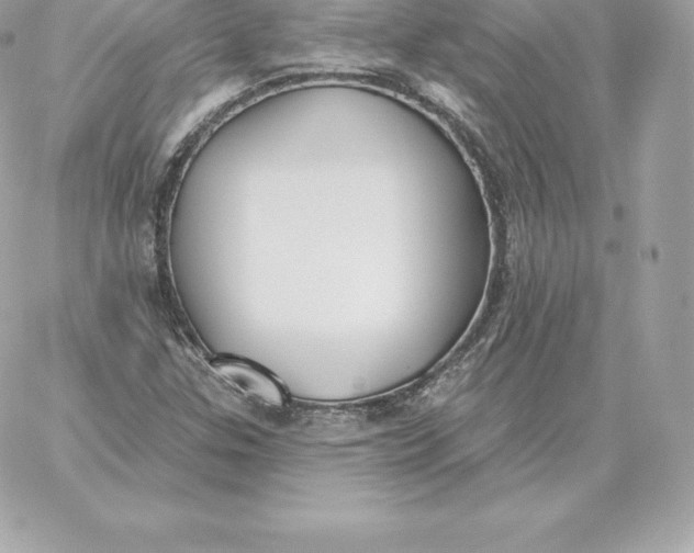 X0000060271307200511112036