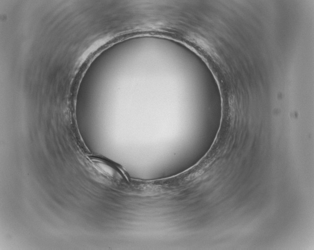 X0000060271308200511112037