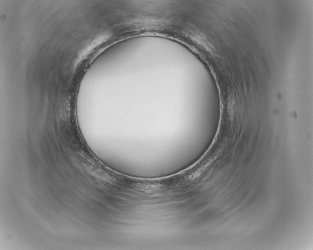 X0000060271309200511112037