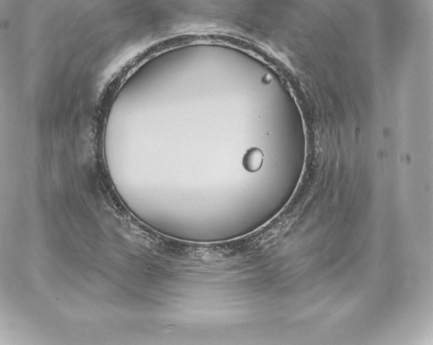 X0000060271311200511112037