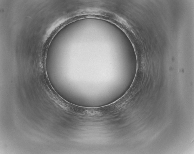 X0000060271312200511112037