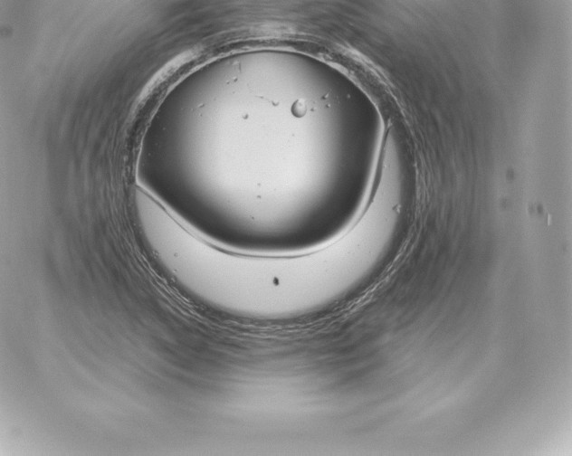 X0000060271314200511112037