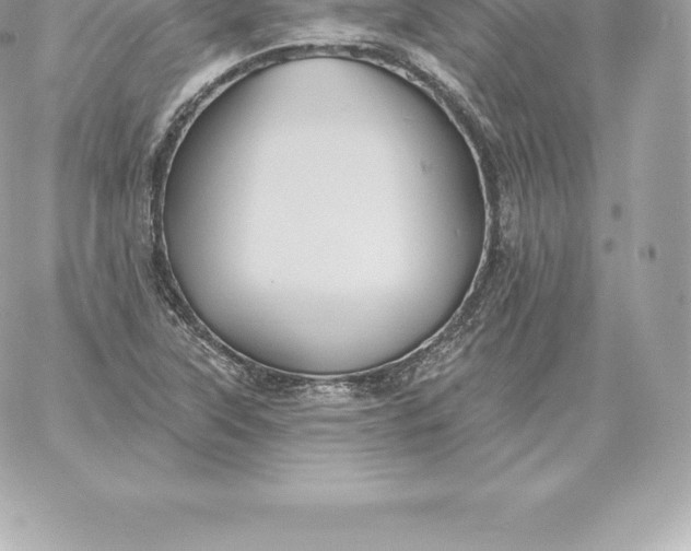 X0000060271315200511112037