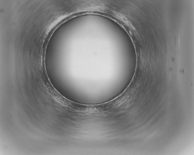 X0000060271316200511112037