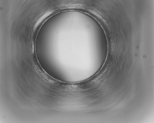 X0000060271317200511112037