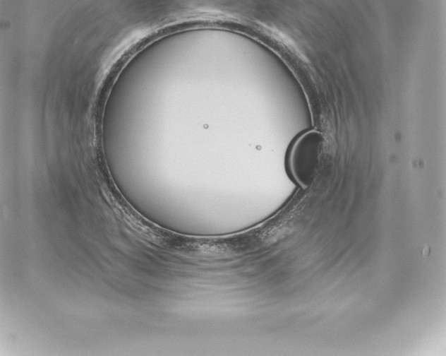 X0000060271318200511112037