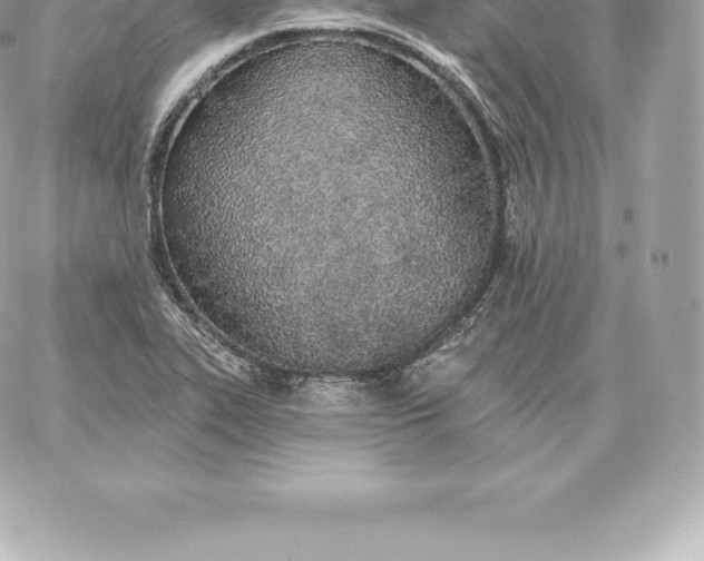 X0000060271319200511112037