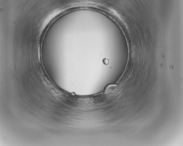 X0000060271320200511112037