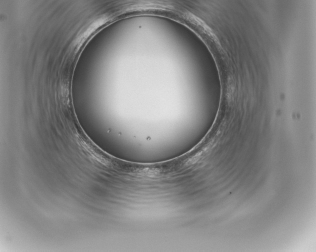 X0000060271321200511112037