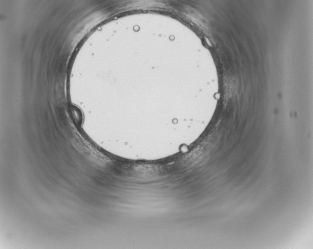 X0000060271322200511112037