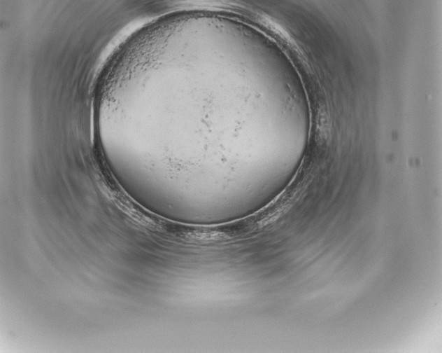 X0000060271323200511112037