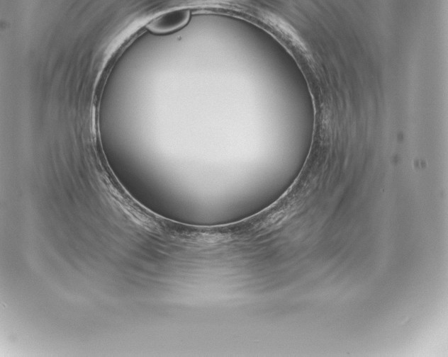 X0000060271324200511112037