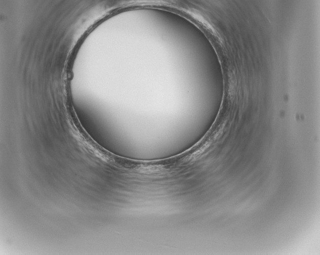 X0000060271325200511112037