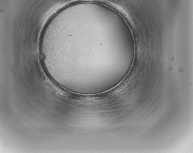 X0000060271327200511112037