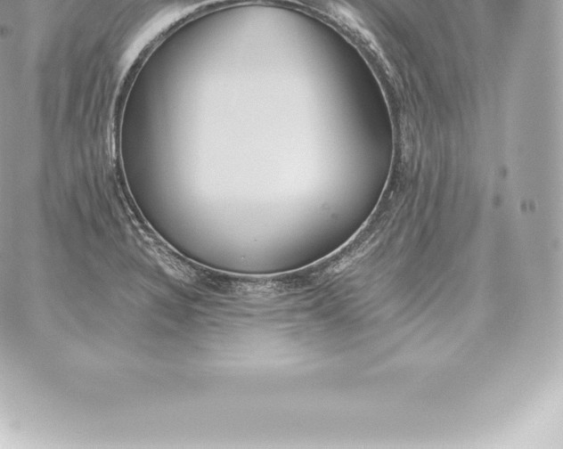 X0000060271328200511112037