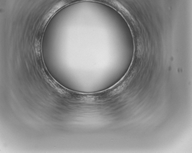 X0000060271329200511112037