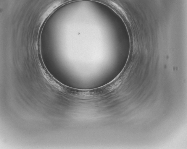 X0000060271330200511112037