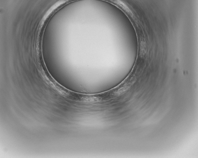 X0000060271331200511112037