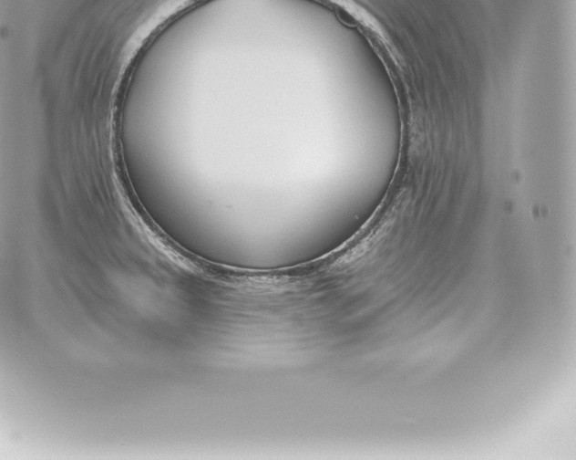 X0000060271333200511112037