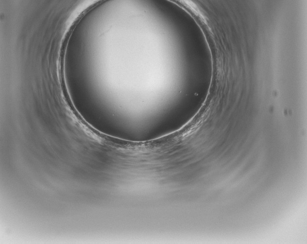 X0000060271334200511112037