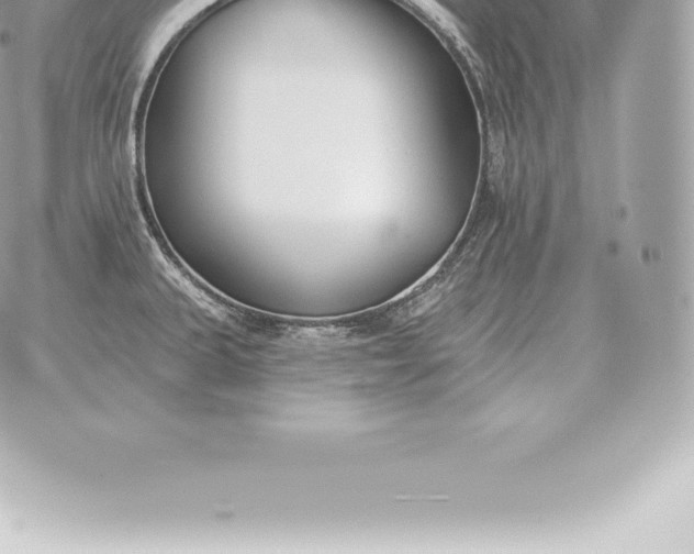 X0000060271335200511112037