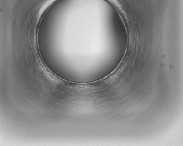 X0000060271336200511112037