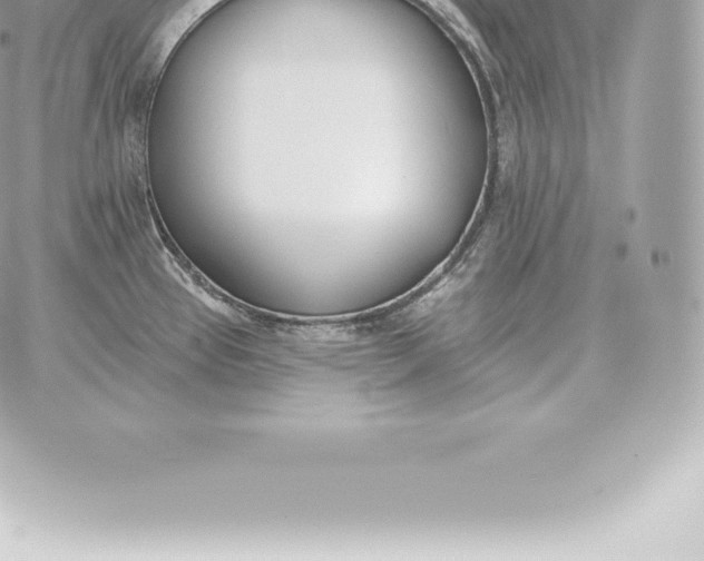 X0000060271337200511112037