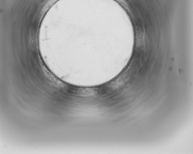 X0000060271338200511112037