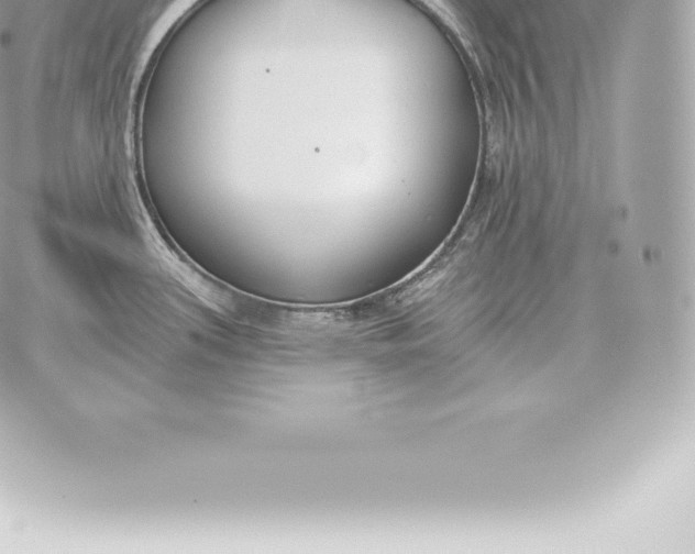 X0000060271339200511112037