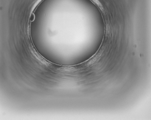 X0000060271340200511112037