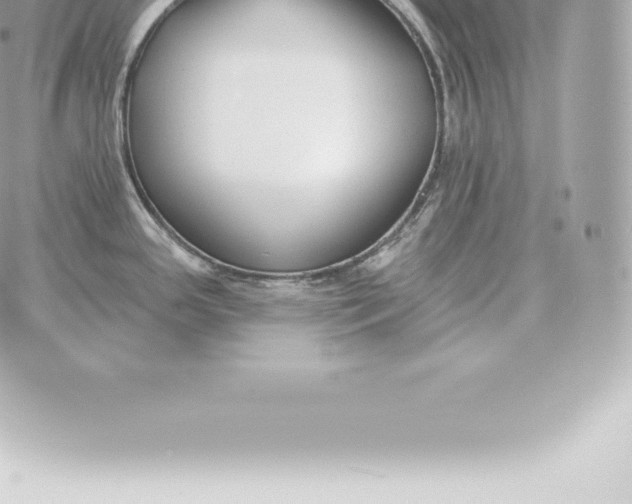 X0000060271341200511112037