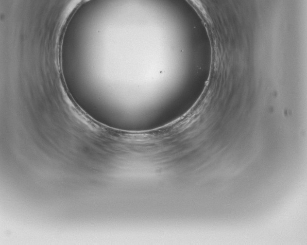 X0000060271342200511112037