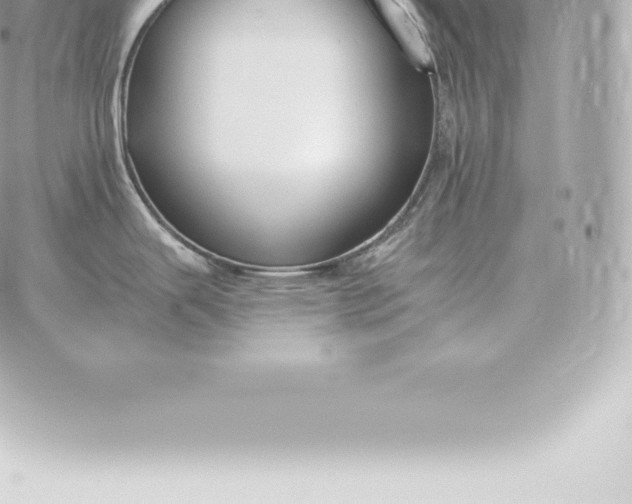 X0000060271343200511112037