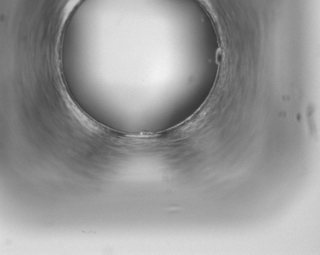 X0000060271344200511112037