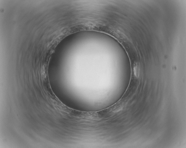 X0000060271347200511112036