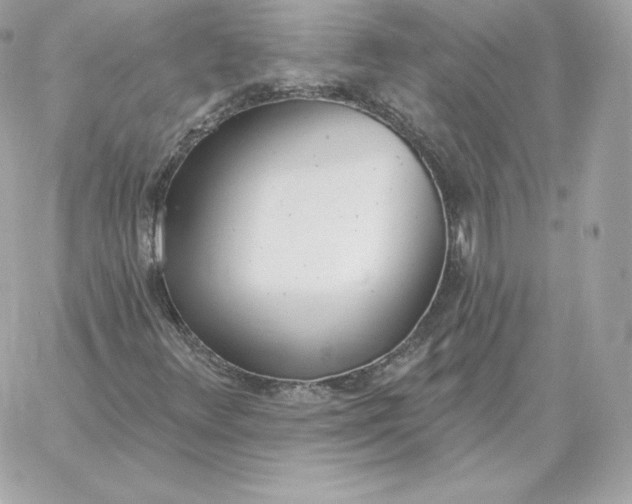 X0000060271348200511112036