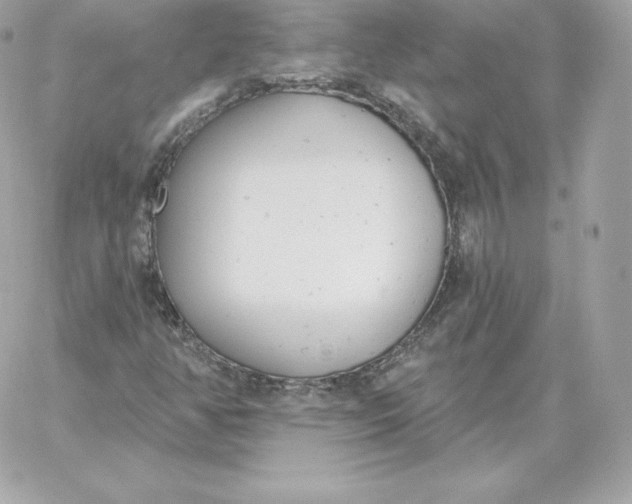 X0000060271350200511112036