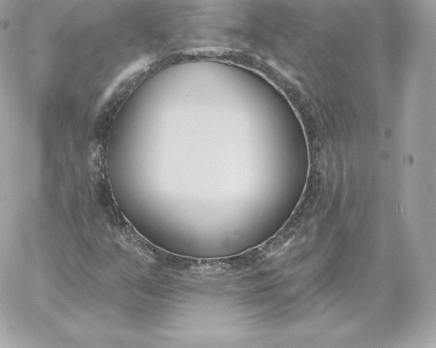 X0000060271351200511112036