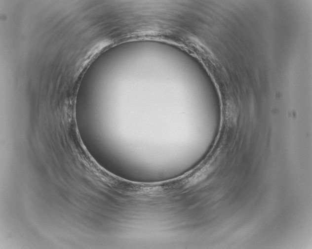 X0000060271353200511112036