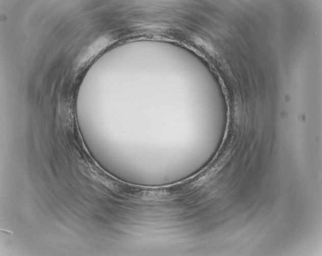 X0000060271354200511112036