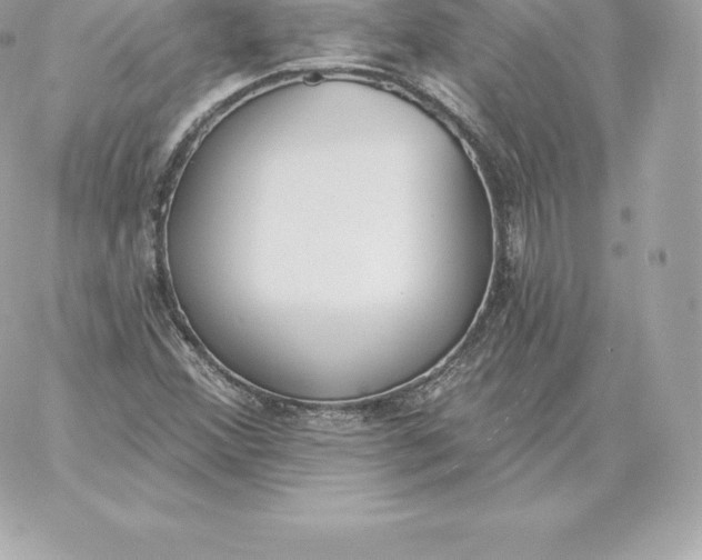 X0000060271356200511112036